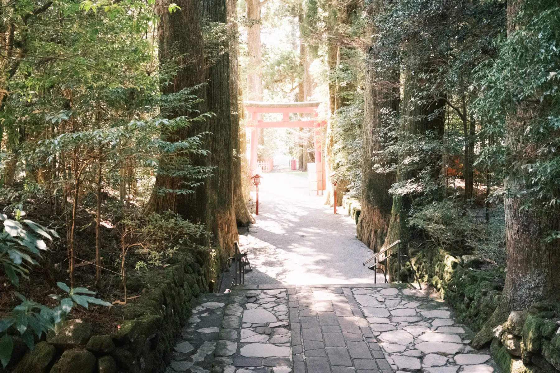 A narrow wooded path leading toward a vivid red shrine gate.