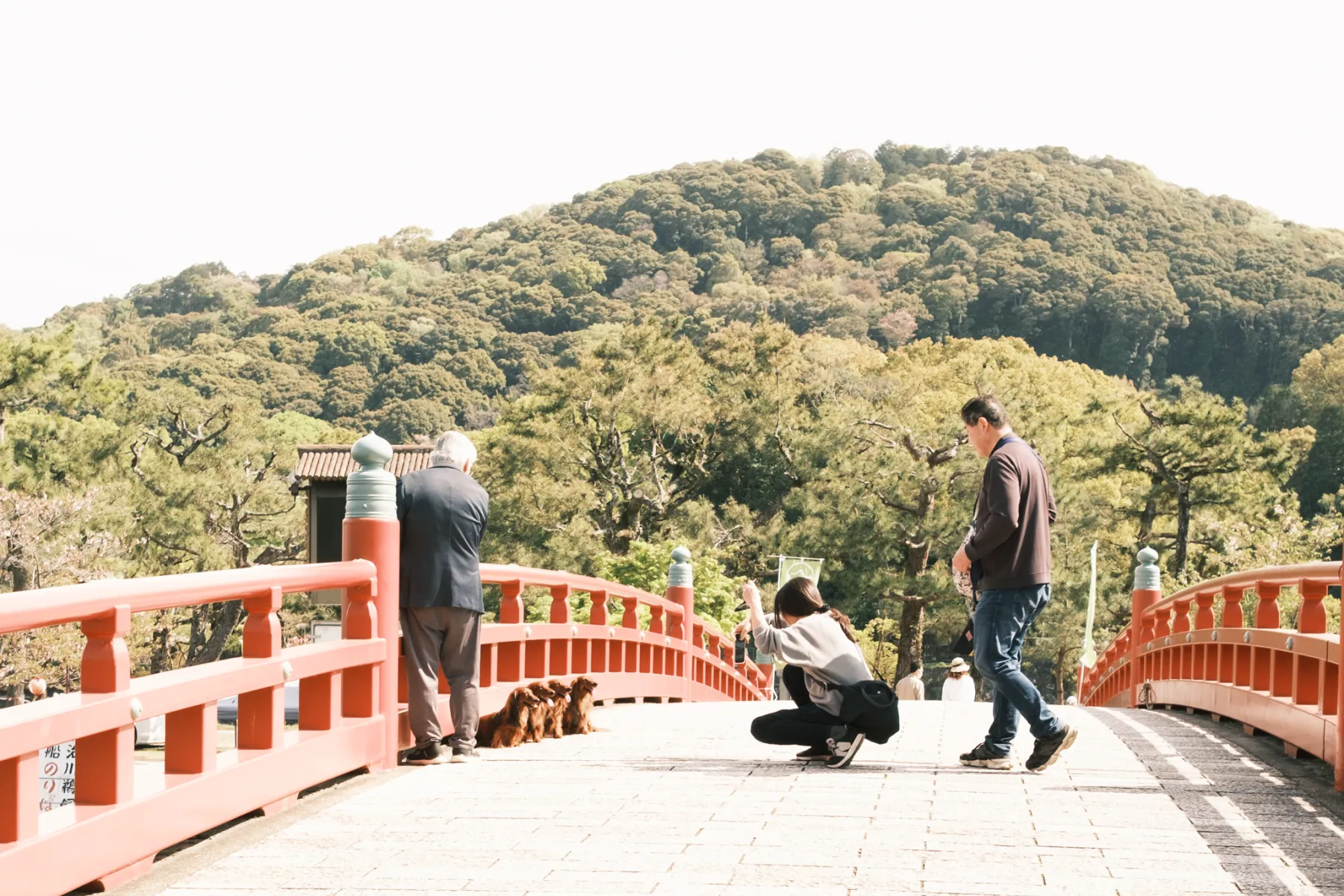 Visitors crossing a curved red bridge surrounded by green hills, one crouching to take a photo.